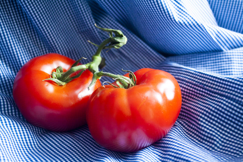 Two tomatoes on a blue checkered cloth